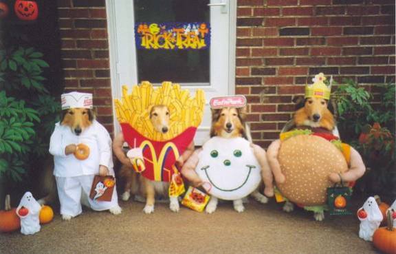 image0022